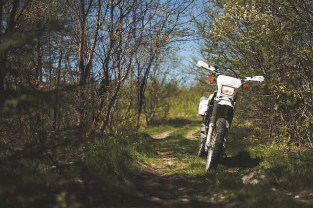 motorcycle by a green lane
