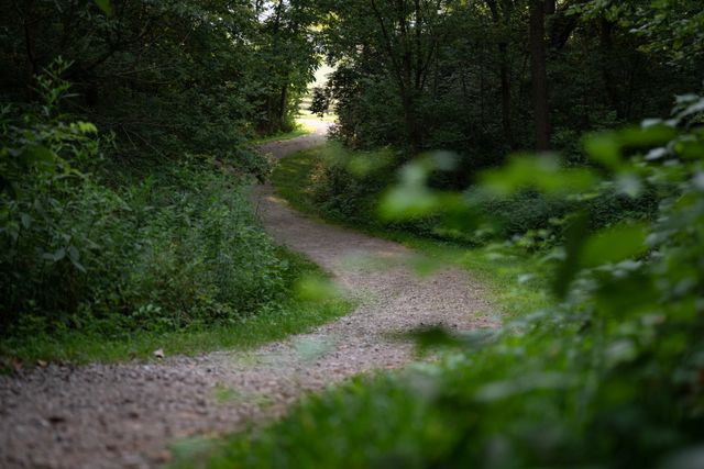 uk green lane