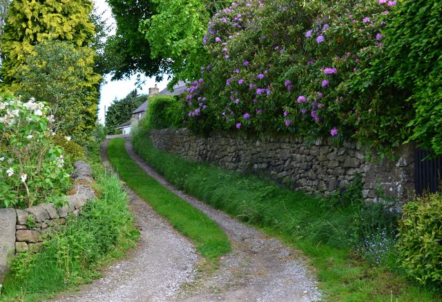 an english green lane