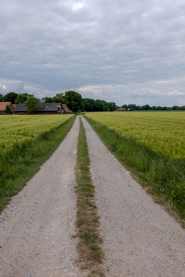 A rutted farm track under a heavy, changing sky