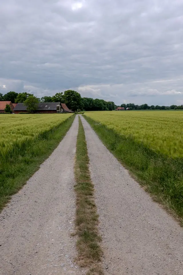 A rutted farm track under a heavy, changing sky