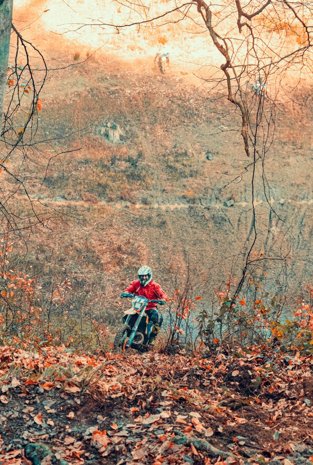 A motorcycle riding along a trail scattered with autumn leaves