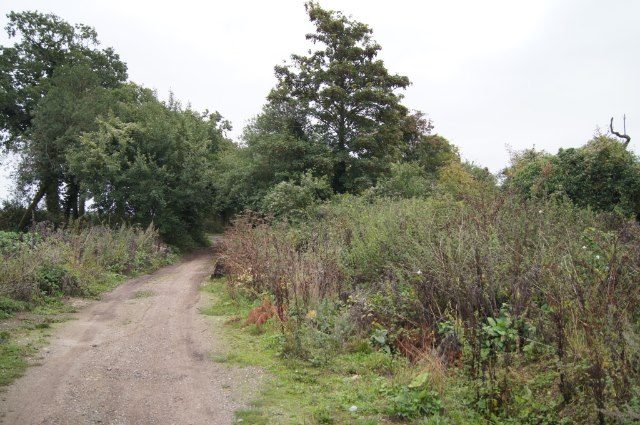 The Harrow Way byway in Hampshire, a dirt track curving between trees and hedges