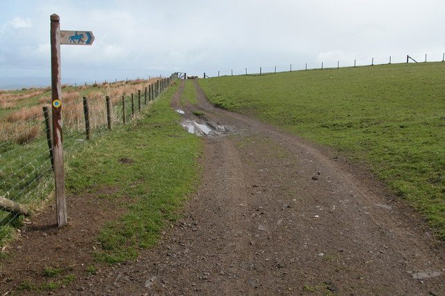 The Kerry Ridgeway, a wide grassy track with two wheel ruts beside a wire fence and a waymark post