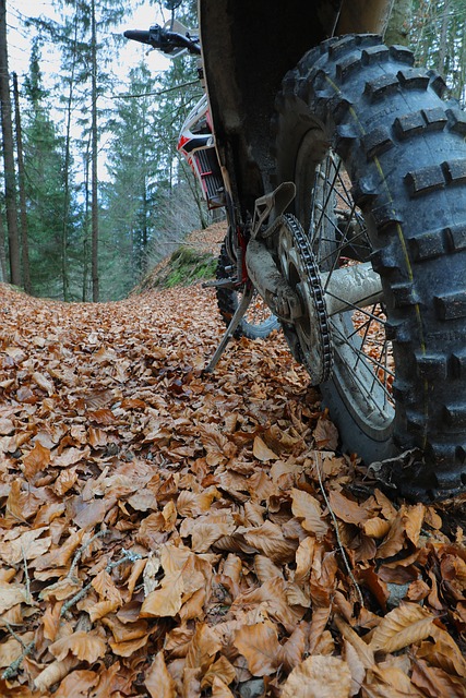 A knobbly rear tyre on a motorcycle parked on a leaf-covered green lane